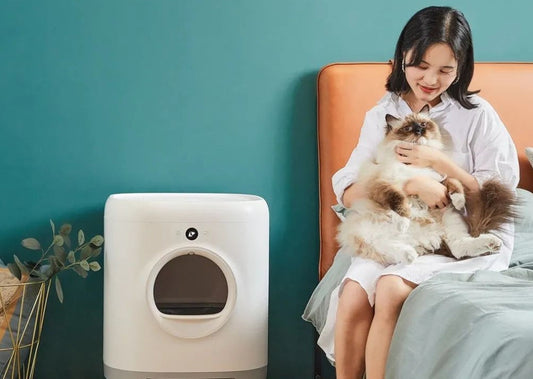 なぜ若者たちは猫を飼うようになったのか——その理由に、きっとあなたも共感するはず