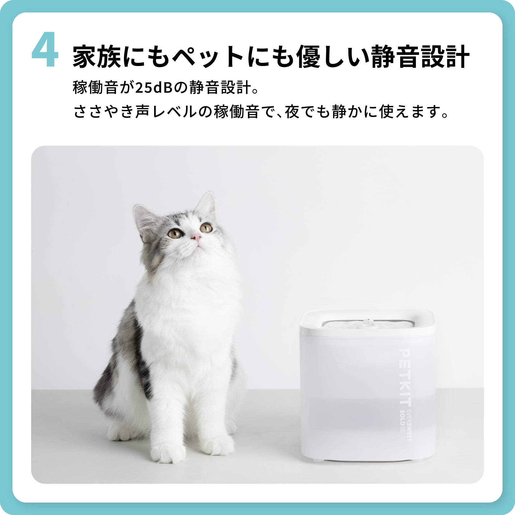 自動給水機 / P4103S – PETKIT JP