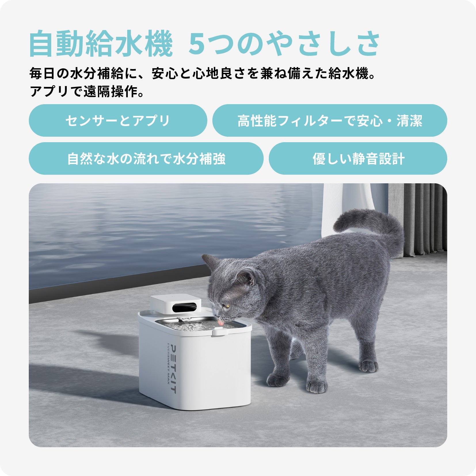 自動給水機 / P4115 – PETKIT JP