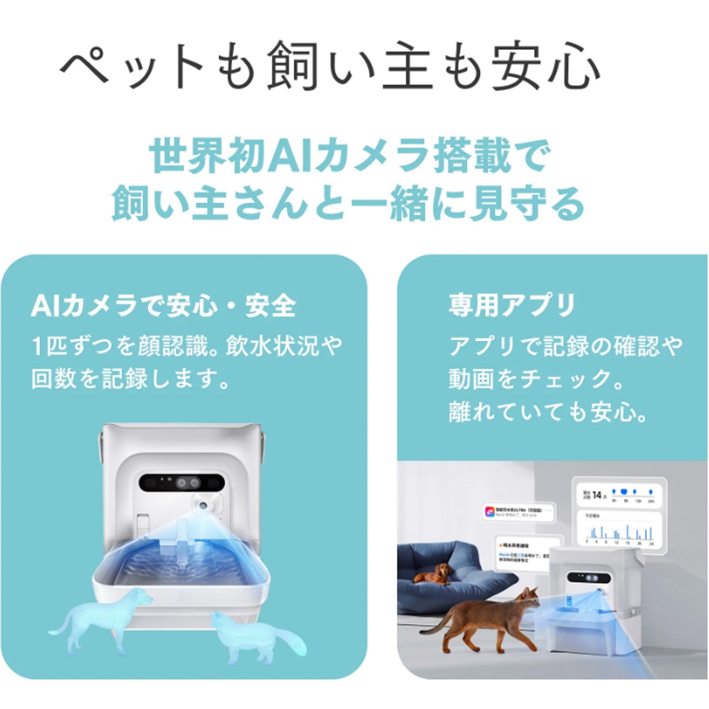 AIカメラ付き非循環型自動給水機 / P4117