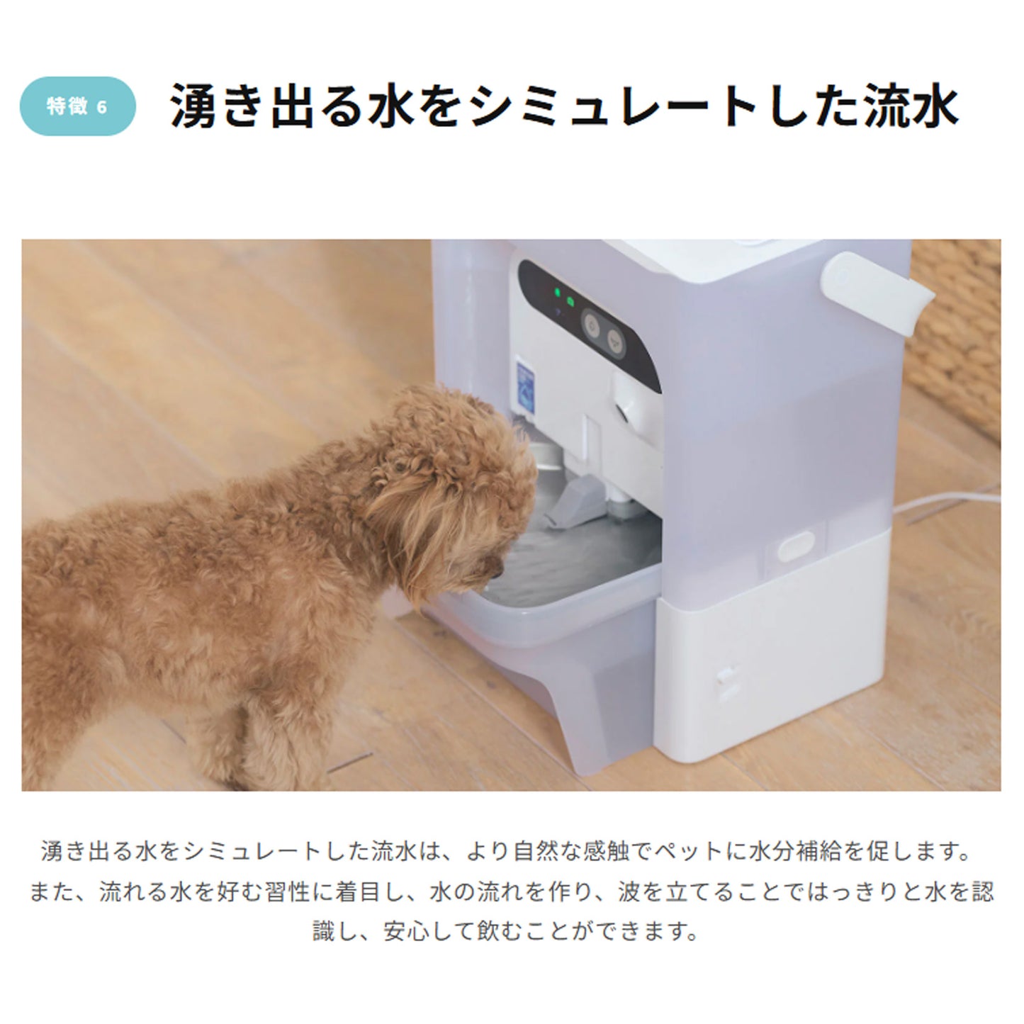AIカメラ付き非循環型自動給水機 / P4117