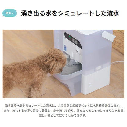 AIカメラ付き非循環型自動給水機 / P4117