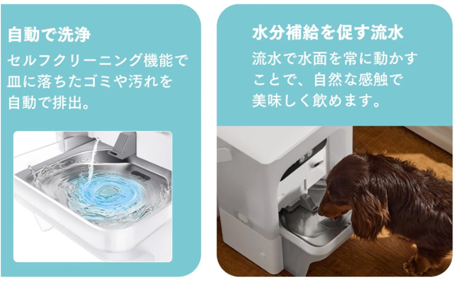 AIカメラ付き非循環型自動給水機 / P4117