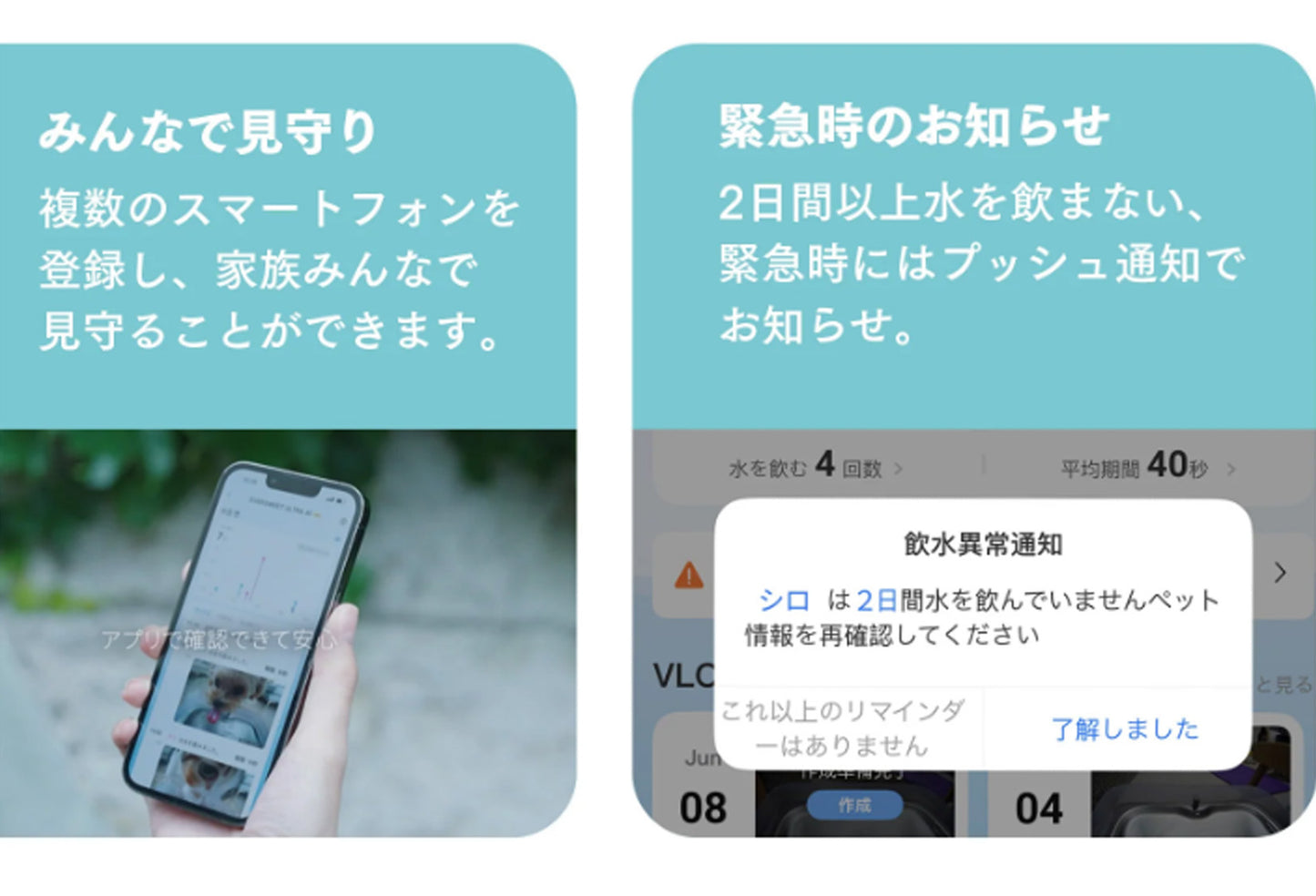 AIカメラ付き非循環型自動給水機 / P4117