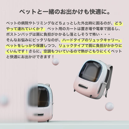 キャリーバッグ / P7704