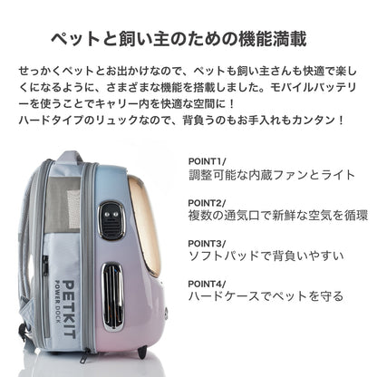 キャリーバッグ / P7704