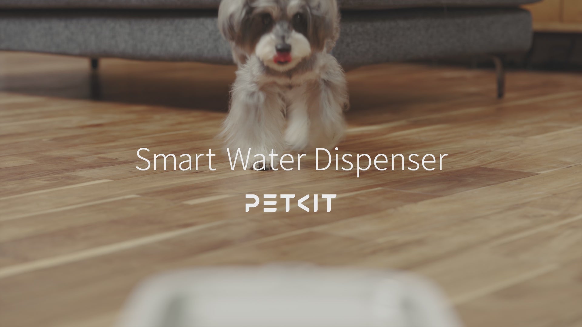 動画を読み込む: 