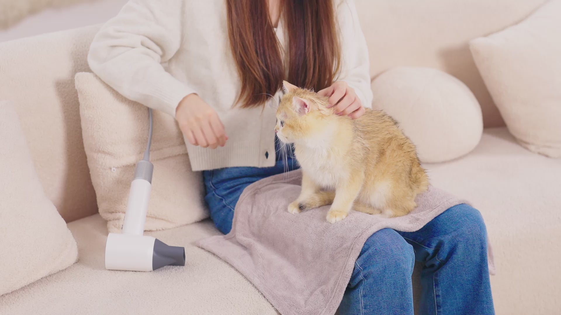 PETKIT ドライヤーハウス 猫 小型犬用 ドライルーム スマホ管理 Amazon | PETKIT ドライヤーハウス 猫 小型犬用 ドライルーム