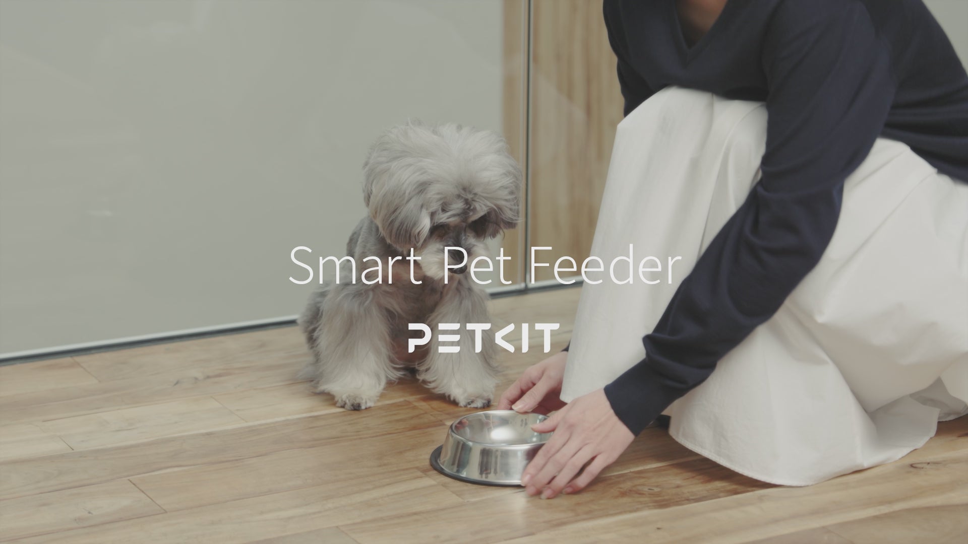 動画を読み込む: 